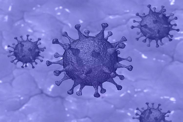 Only a few organizations highly prepared for coronavirus: Gartner - CIO&Leader Only a few organizations highly prepared for coronavirus: Gartner - CIO&Leader
