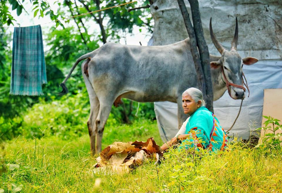 Budget 2018 continues focus on improving internet penetration in rural India - CIO&Leader