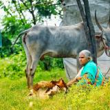 Budget 2018 continues focus on improving internet penetration in rural India - CIO&Leader